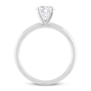 Thumbnail Image 2 of THE LEO Diamond Artisan Ring 1 Carat Round-cut 14K White Gold