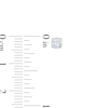 Thumbnail Image 3 of GSI Solitaire Diamond Earrings 1/2 ct tw Round-cut 14K White Gold (I/SI2)