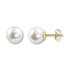 Thumbnail Image 1 of Cultured Pearl Earrings 14K Yellow Gold