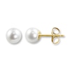 Thumbnail Image 1 of Cultured Pearl Earrings 14K Yellow Gold