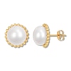 Thumbnail Image 1 of Cultured Pearl Earrings 10K Yellow Gold