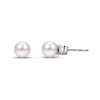 Thumbnail Image 1 of Akoya Cultured Pearl Stud Earrings 14K White Gold