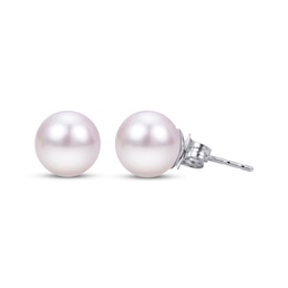 8-8.5mm Cultured Akoya Pearl Stud Earrings 14K White Gold