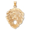 Thumbnail Image 0 of Men's Lion's Head Charm 14K Yellow Gold