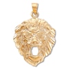 Thumbnail Image 1 of Men's Lion's Head Charm 14K Yellow Gold