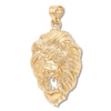Thumbnail Image 1 of Men's Lion's Head Charm 14K Yellow Gold