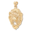 Thumbnail Image 2 of Men's Lion's Head Charm 14K Yellow Gold