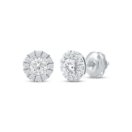 Lab-Created Diamonds by KAY Halo Stud Earrings 1/2 ct tw 14K White Gold (F/VS2)