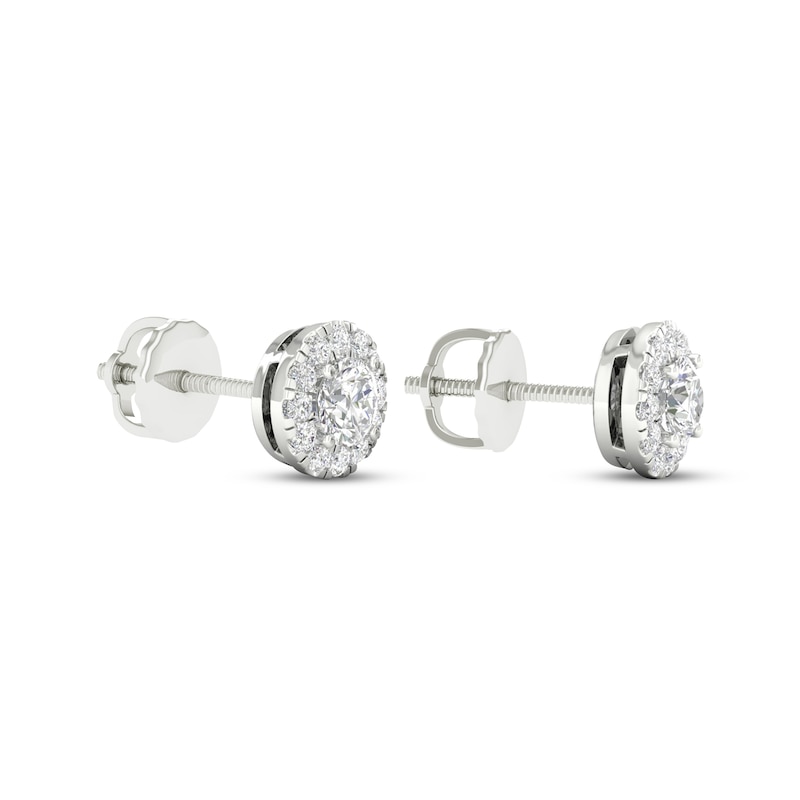 Lab-Created Diamonds by KAY Halo Stud Earrings 1/2 ct tw 14K White Gold (F/VS2)