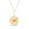 Thumbnail Image 1 of Zodiac Aquarius Medallion Necklace 14K Yellow Gold 18&quot;