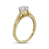 Thumbnail Image 1 of Multi-Diamond Circular-Shaped Engagement Ring 1/4 ct tw 14K Two-Tone Gold